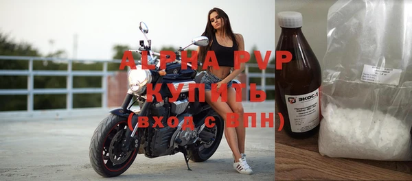 стаф Алексин