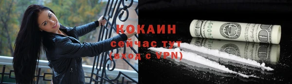 спайс Алзамай