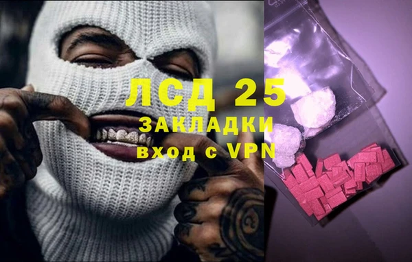 стаф Алексин