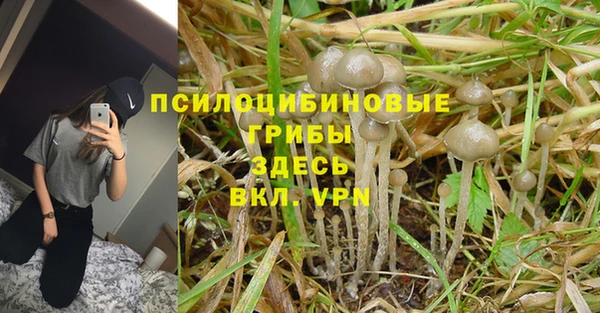 твердый Алексеевка